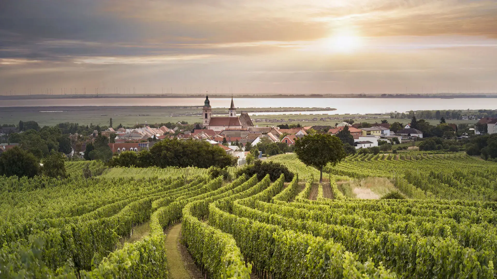 Burgenland's Wine Country